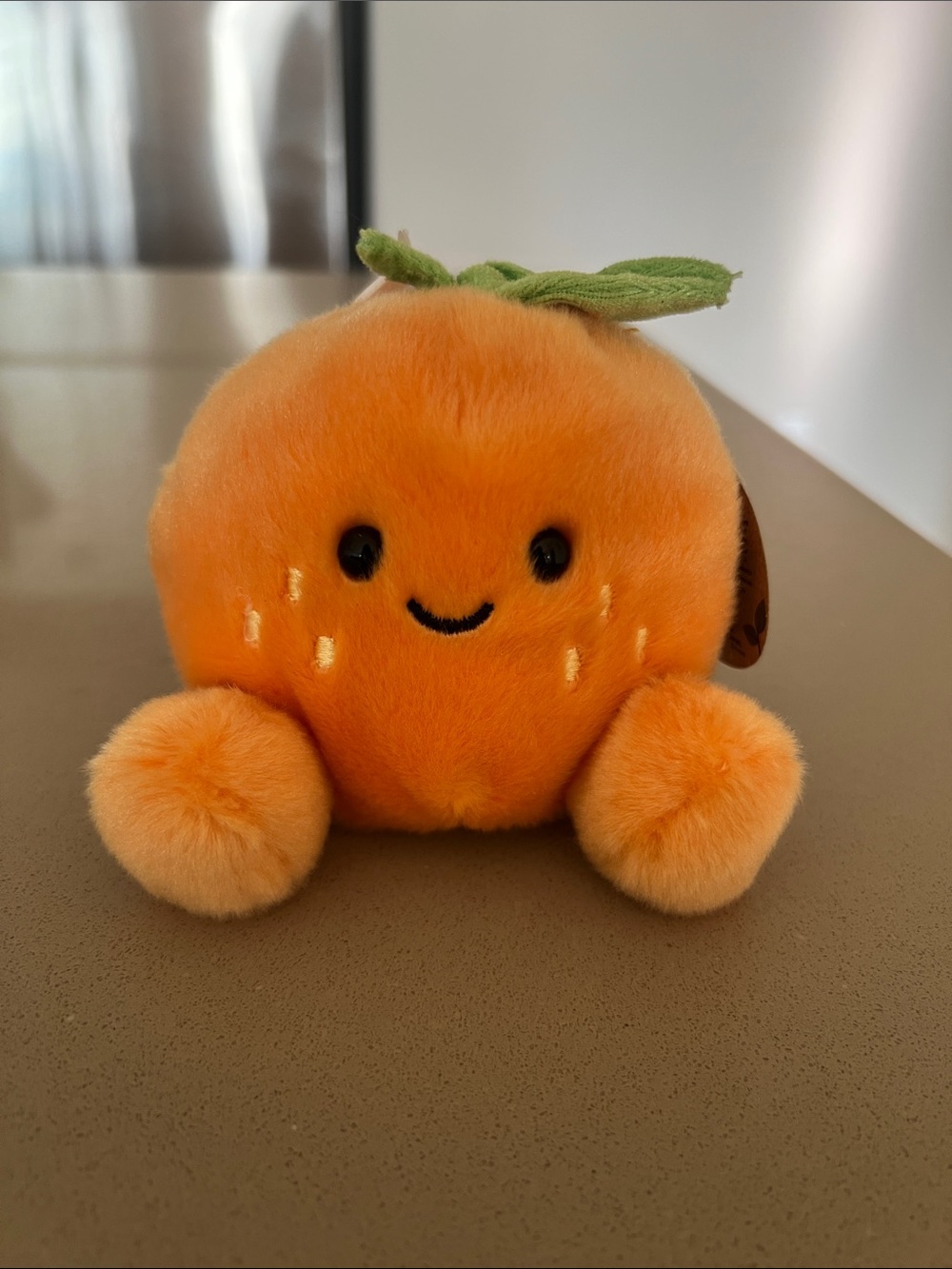 Palm Pals Orange